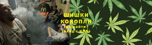 дмт Алексеевка