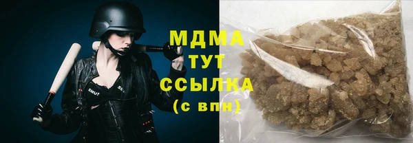 гашик Алексин