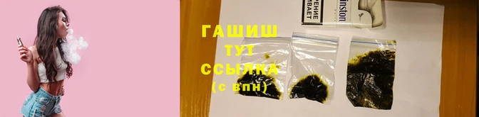 гашик Алексин