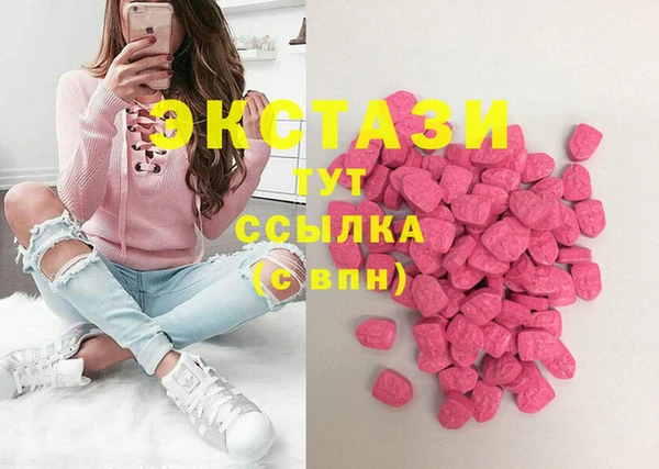 гашик Алексин