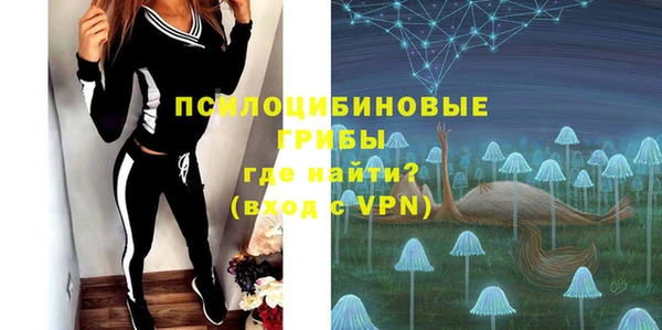 гашик Алексин