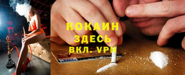 гашик Алексин