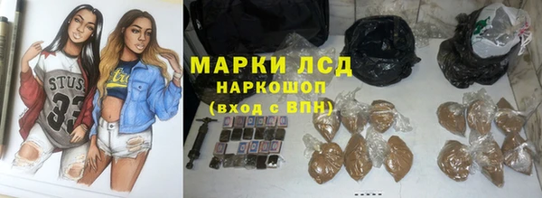 гашик Алексин